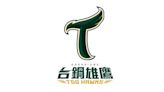 台鋼雄鷹TSG HAWKS公布LOGO 墨綠「T」字老鷹展翅飛翔