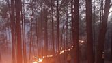 Combaten brigadistas 20 incendios forestales