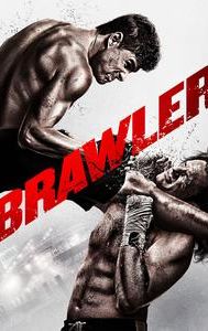 Brawler