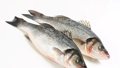 美國FDA點名汞超標魚類：七種魚少吃