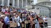 A trip from New Haven to DC to claim pizza superiority