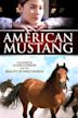 American Mustang