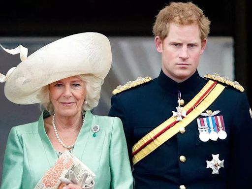 Heartbroken Prince Harry accused Camilla of 'taking King Charles away' from him