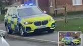 Shocking moment 'kids steal police car' as officers detain suspect nearby