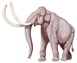 Columbian mammoth