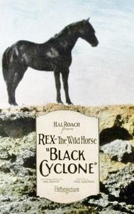 Black Cyclone