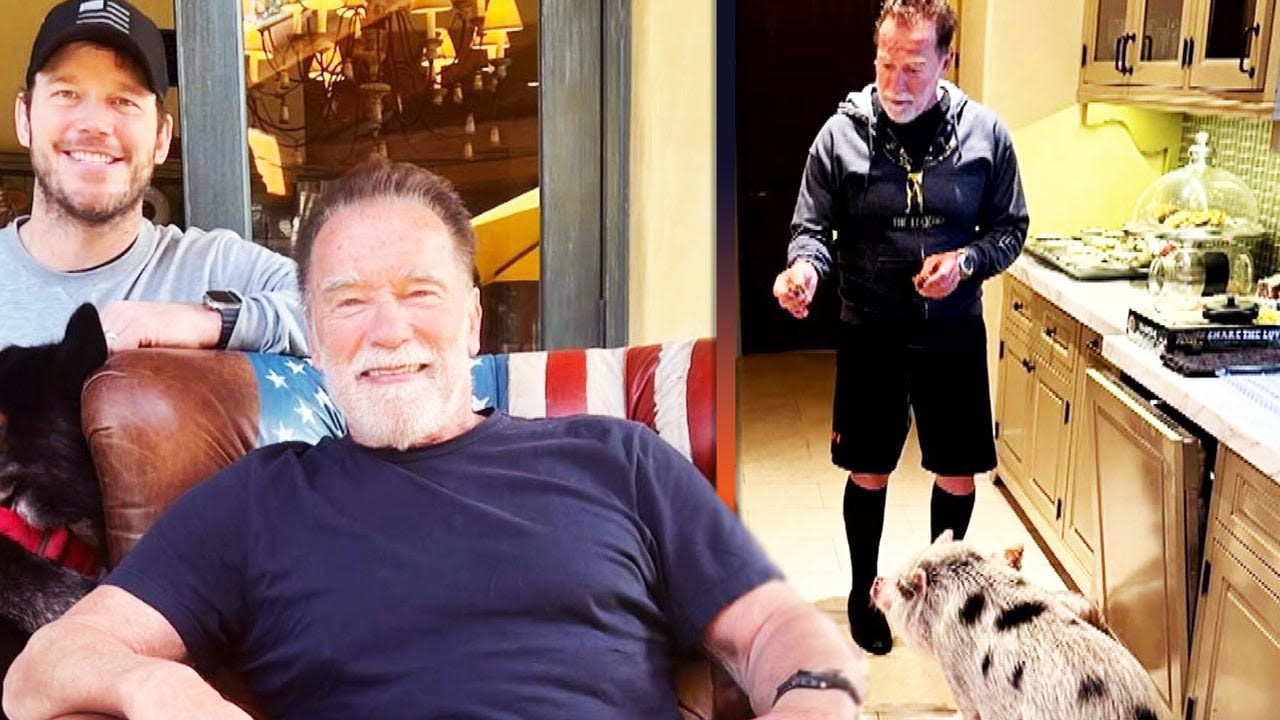 Chris Pratt Shares Sweet Birthday Tribute to Father-in-Law Arnold Schwarzenegger Featuring Pet Pig
