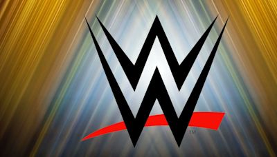 Backstage News On Concern A WWE Star Would Have To Retire Due To Injury - PWMania - Wrestling News