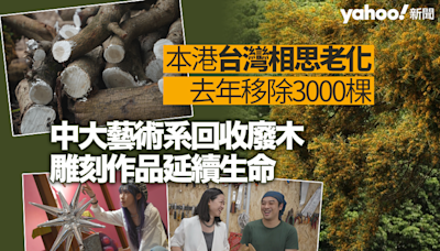 老樹不死｜本港台灣相思老化去年移除3000棵 中大藝術系回收廢木雕刻作品延續生命｜Yahoo