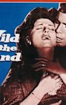 Wild Is the Wind (1957 film)