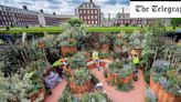 Chelsea show ditches flowers for foliage as ferns and mosses dominate the gardens