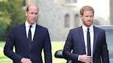 Prince William Plans For Prince Harry After He Takes The Throne REVEALED!