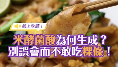 【線上收聽】寶林茶室食物中毒案件讓你不敢吃粿條河粉了？「米酵菌酸」是怎麼生成的？