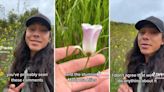 Plant expert breaks down the controversy surrounding invasive flowers and weeds: ‘It’s actually really sad’