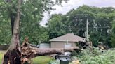 Trees, power lines down in Muskegon County after major storm