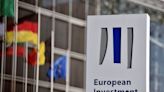 No EIB presidency decision expected this week -German sources