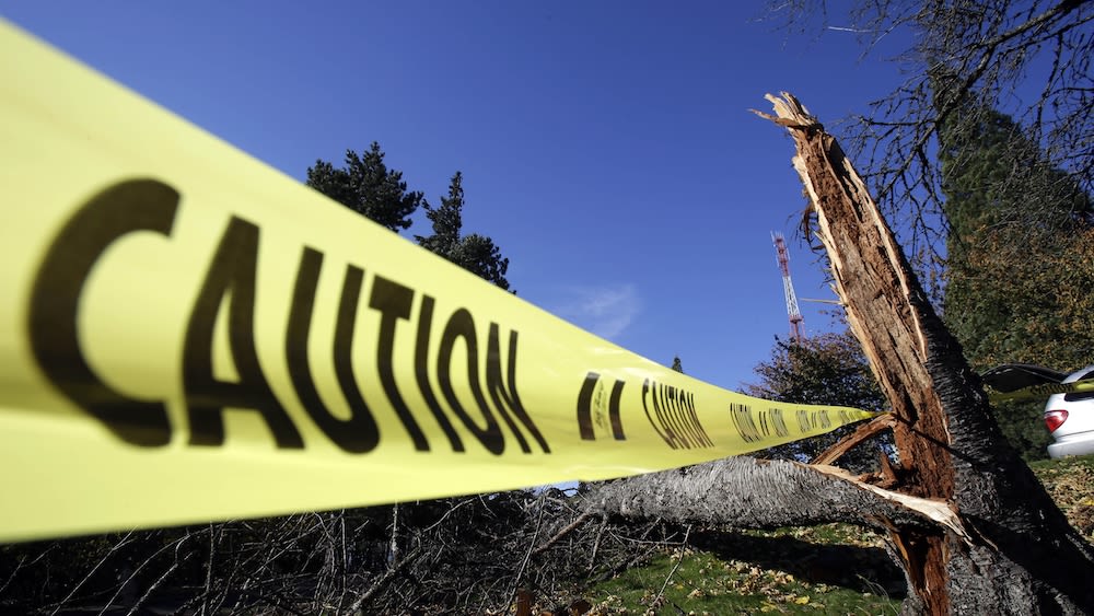 One person dead in Mercer County after tree fell on home due to severe storms, officials say