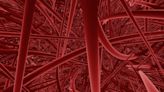 Gene therapy treatment increasing body's signal for new blood vessel growth shows promise