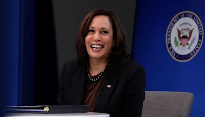 Over 100 US capitalists rally behind Kamala Harris in response to political divisions in tech industry