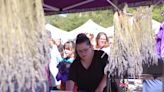 Braving the heat for the Lavender Festival