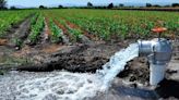 Tamaulipas frena riego agrícola en zona sur
