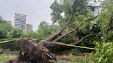 Dallas County Judge Clay Jenkins issues disaster declaration after severe storms