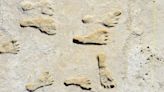 Oldest Human Footprints in North America Really Are That Old, New Dating Confirms