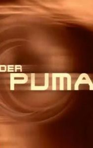 Der Puma - Kämpfer mit Herz