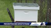 Arkansas: What to do if bees come into your home