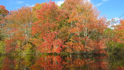 When will fall foliage peak on Cape Cod? Yankee Magazine expert weighs in.