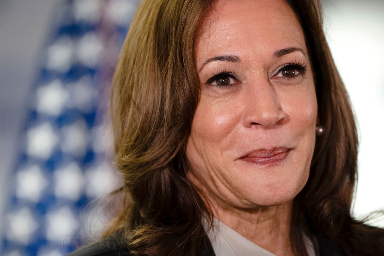 Democrats plan to push ahead with virtual roll call ahead of their convention, with Harris favored