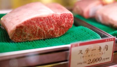 Brasil propone que Japón entre en el mercado de la carne vacuna con una "pequeña cuota"