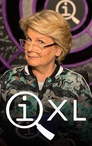 QI XL