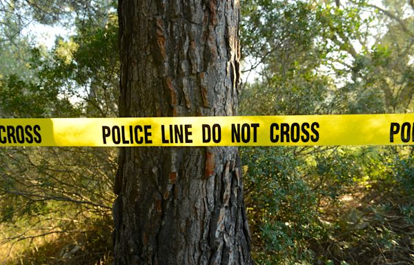 Nudist duo helps foil street assault in San Francisco's Castro neighborhood