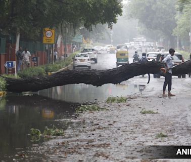 Delhi News Live Updates: IMD issues orange alert for Delhi till July 4; city reports 11 rain-related deaths