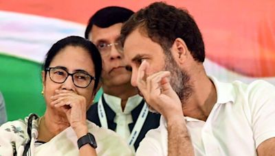 Opinion | Dividers-in-Chief: Rahul Gandhi to Mamata Banerjee, Game On to Split Hindus and Bharat - News18
