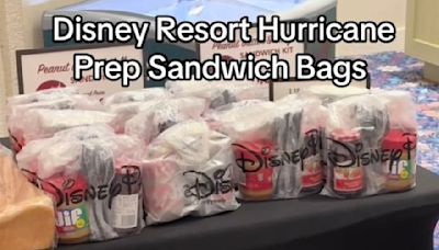 Disney Resort Under Fire for Hefty Price of PB&J Sandwich Kits Amid Hurricane Milton