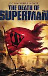 The Death of Superman (film)