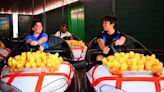 Potato Patch-themed bumper cars make debut as Kennywood’s newest attraction