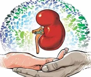 12-year-old brain-dead girl’s organs save 4 lives in Mumbai