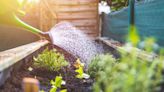 How Much Soil Should You Use in a Raised Bed Garden?