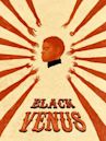 Black Venus (2010 film)