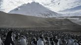 Perilous expedition to uninhabited island in South Atlantic confirms existence of world's 8th lava lake