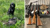 Conservation Dog Helps Bust Turkey Poachers Who Killed Two Hens and a Gobbler with Rifles
