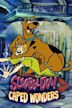 Scooby-Doo! Caped Wonders