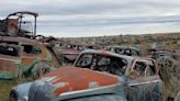 Car graveyard home to classics - including 1940s Chevy worth up to $150,000