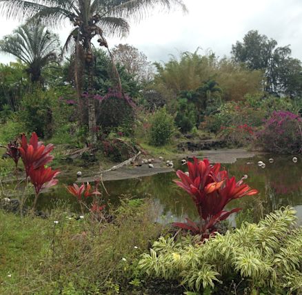 paina buffet at nani mau