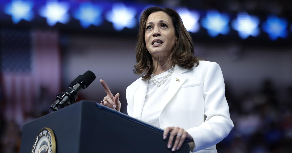 Mark Morgan warns Harris will ‘do everything she can’ to abolish ICE if elected