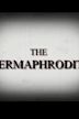 The Hermaphrodite