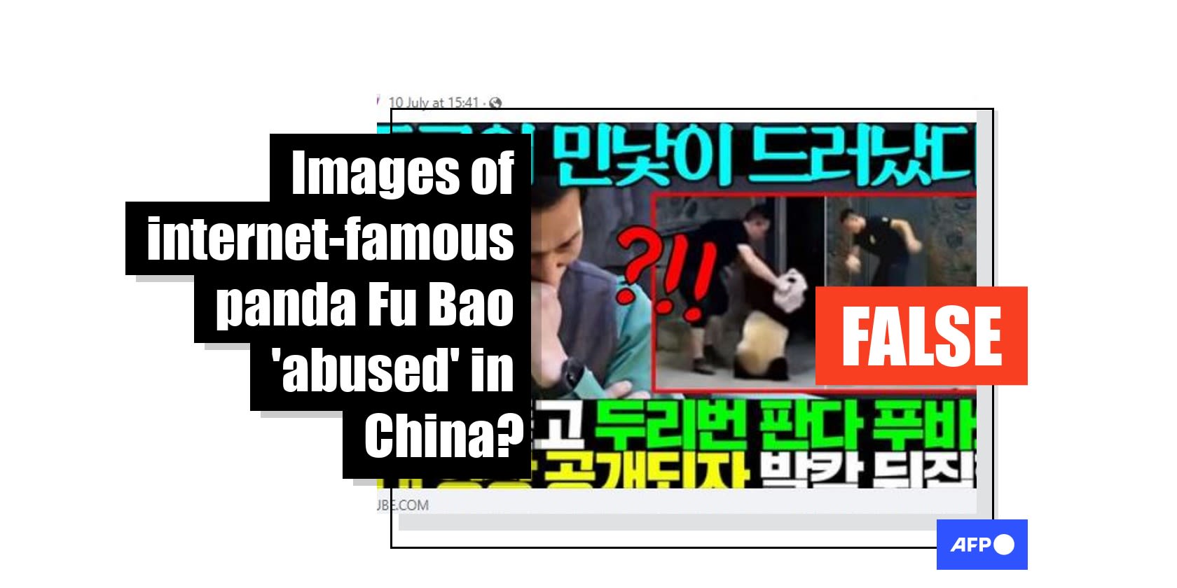 China 'panda abuse' images falsely linked to famous S.Korea-born Fu Bao